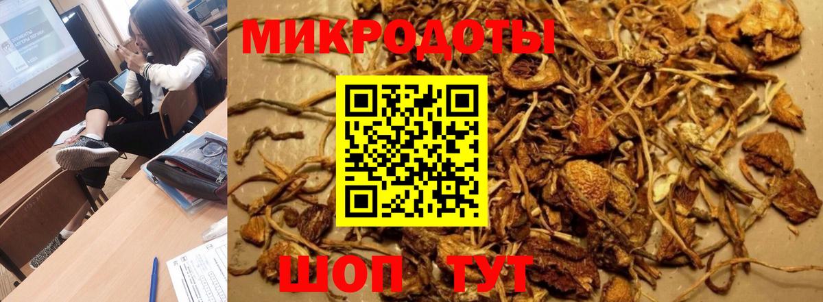 Галлюциногенные грибы Cubensis  Вход с VPN  Сокол 