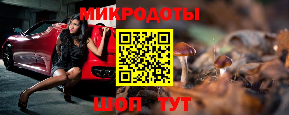 Псилоцибиновые грибы ЛСД Сокол